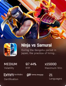 Ninja vs Samurai